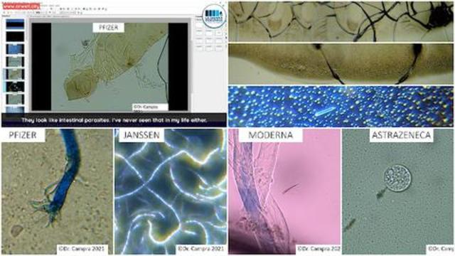 POSSIBLE MICROBIOTA IN COVID MRNA 'VACCINES' (DR. PABLO CAMPRA; QUINTA COLUMNA) - Fringe News