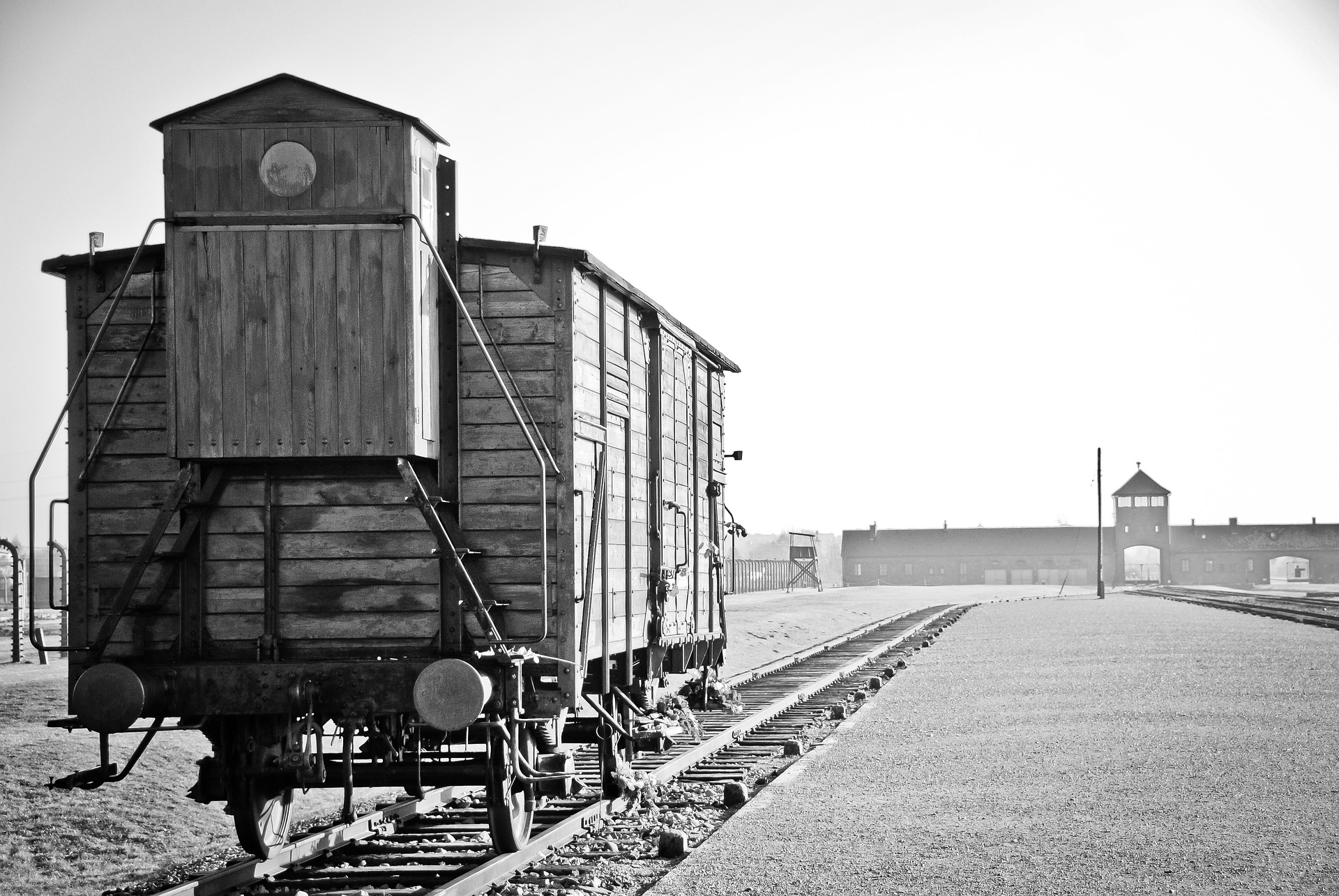 DR. SHERRI TENPENNY - BULLET TRAIN TO AUSCHWITZ CROSSING THE BLOOD-BRAIN BARRIER - Fringe News