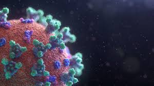 Eliminating Spike Protein, Blood Clots & Protecting Cardiovascular Health - Fringe News