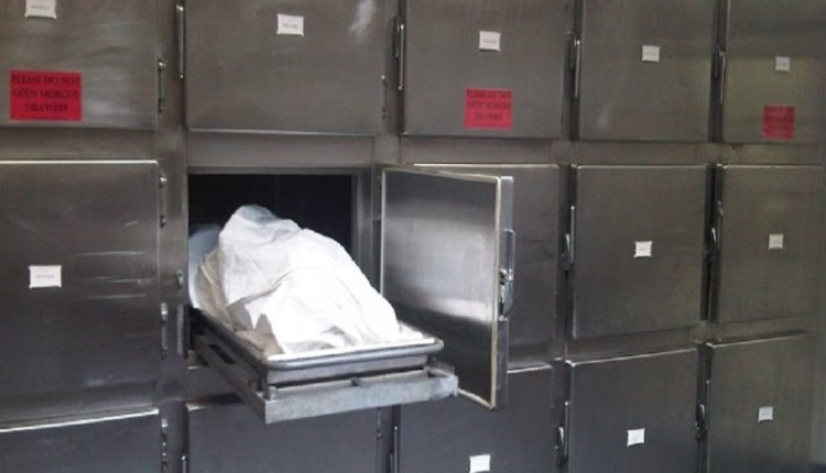 UK Covid funeral director speaks out - Fringe News